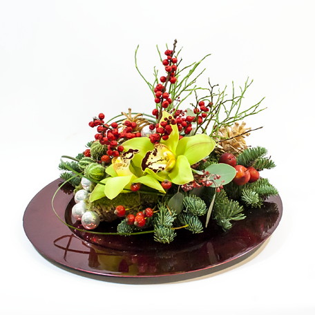 Produto: Orquídeas natalícias